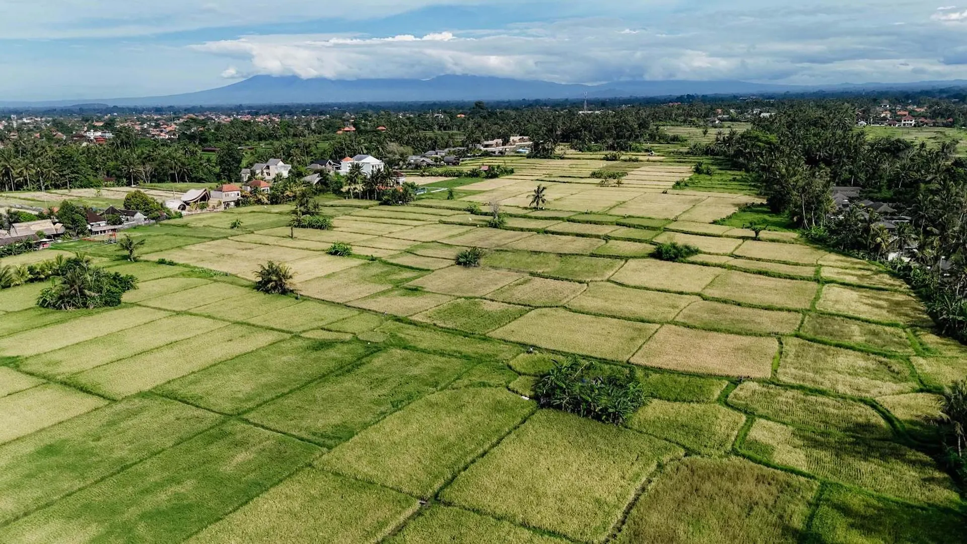 Lodge Weda Villas Ubud