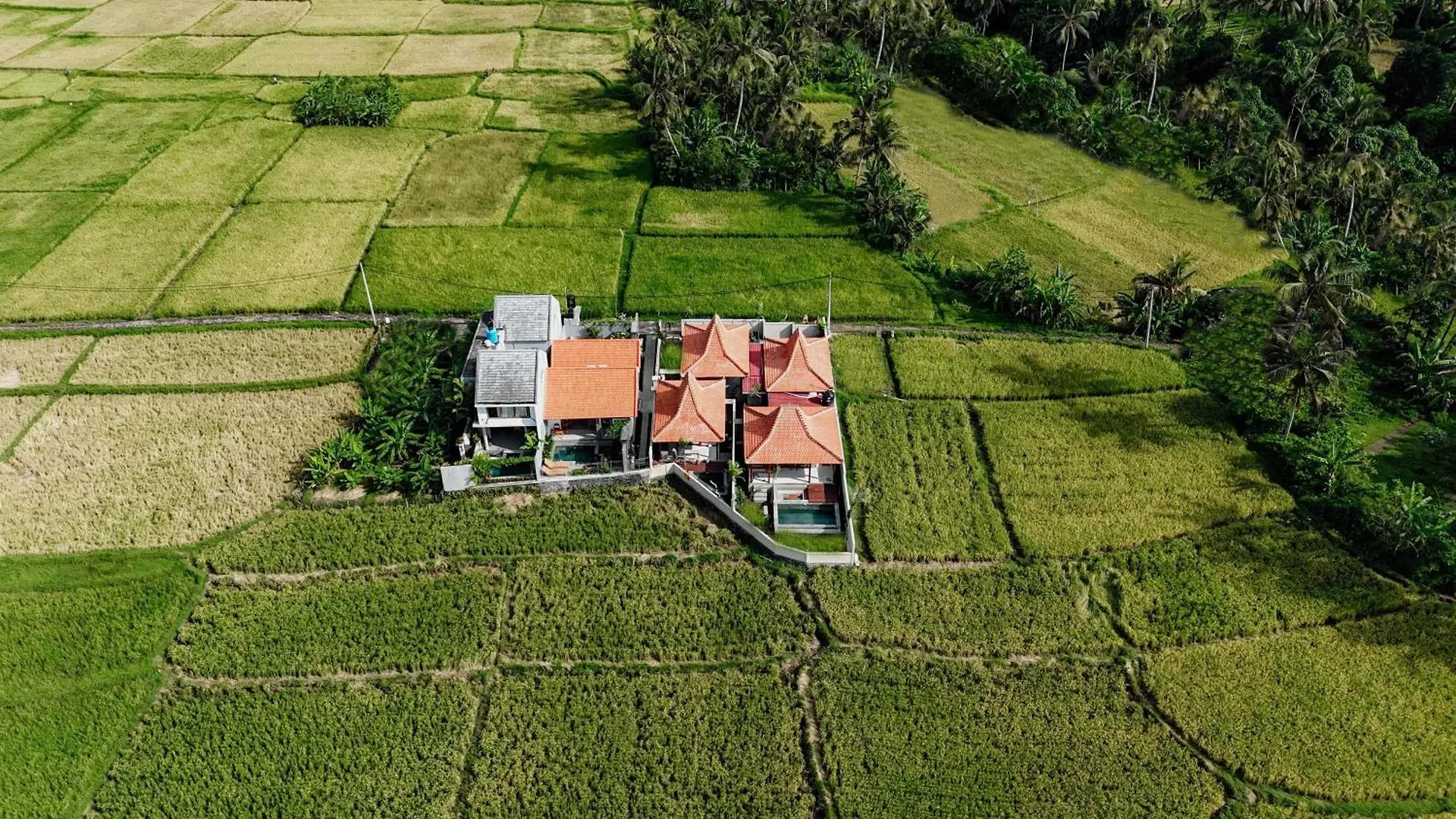 Weda Villas Ubud Indonésie
